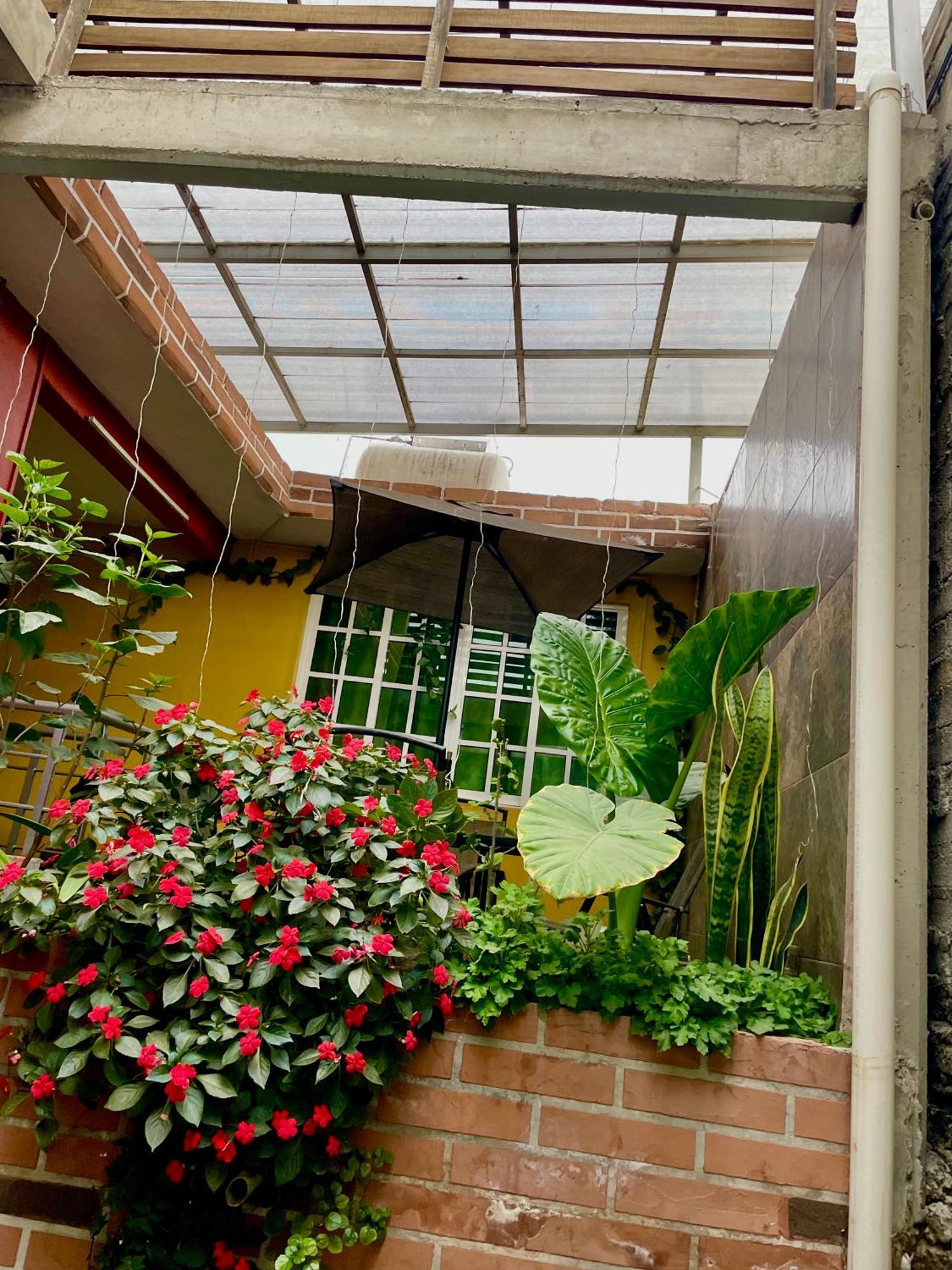 Hidden House Lägenhet Mexico City Exteriör bild
